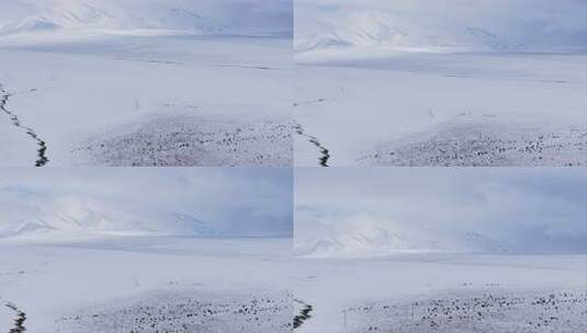 航拍青藏高原青海祁连山脉天境祁连雪山雪景高清在线视频素材下载