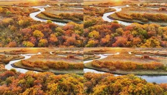 秋日多彩河流湿地风光高清在线视频素材下载