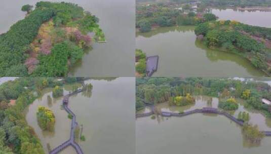 广州海珠湖湿地公园航拍海珠区城市地标高清在线视频素材下载