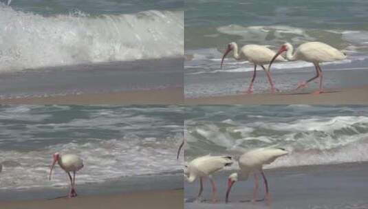 海浪拍打沙滩的自然景象高清在线视频素材下载