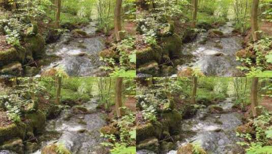 森林里流动的河流高清在线视频素材下载
