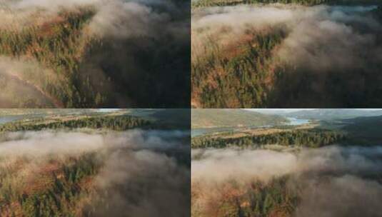 鸟瞰 茂密的树木和云层景观高清在线视频素材下载
