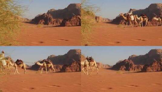 一个人骑着骆驼穿过沙漠高清在线视频素材下载