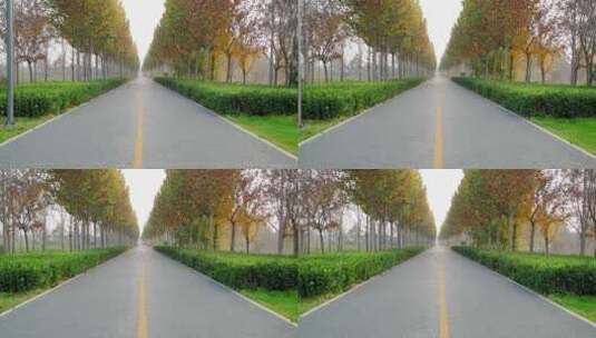 北京秋天公园内笔直的道路高清在线视频素材下载