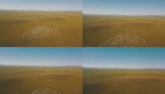 内蒙古草原大远景高清在线视频素材下载