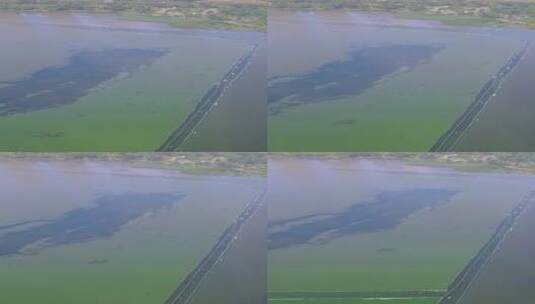 航拍湖北武汉月湖沙湖东湖风景区高清在线视频素材下载