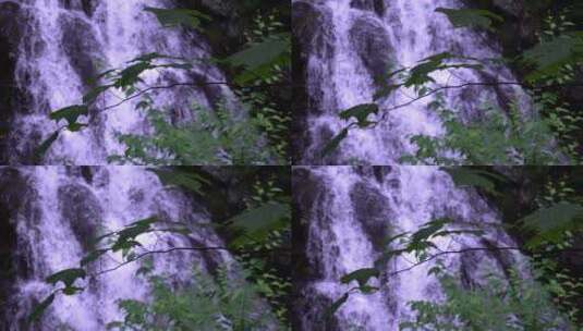 以慢动作拍摄不聚焦的瀑布高清在线视频素材下载