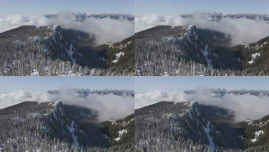 加拿大长满松树的雪山高清在线视频素材下载