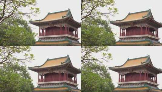 浙江普陀山宝陀禅寺建筑4K实拍视频高清在线视频素材下载