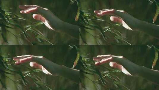 树林中女孩伸手抚摸树叶高清在线视频素材下载