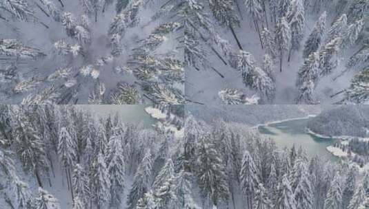 航拍雪域森林高清在线视频素材下载