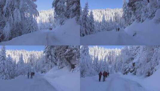 在积雪覆盖的 深山森林 旅游探险的爱好者高清在线视频素材下载