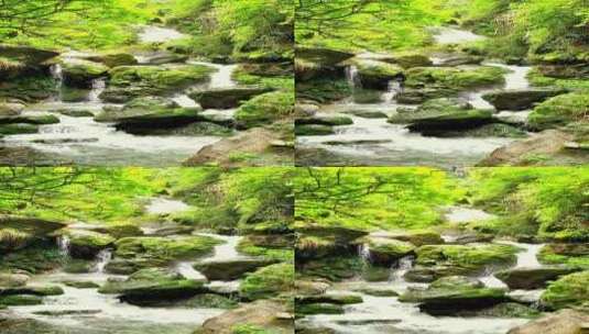 仙女山地缝景区小溪流水高清在线视频素材下载