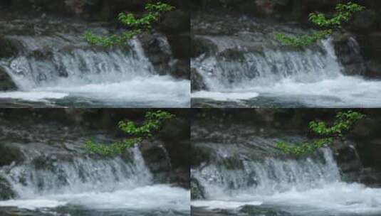 杭州云溪竹径春雨溪流升格视频高清在线视频素材下载