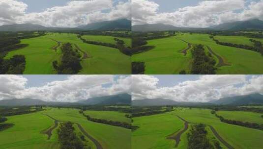 高原上的大片绿色草地高清在线视频素材下载