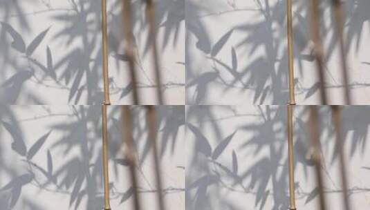4k白色墙面竹叶竹子婆娑写意空镜高清在线视频素材下载
