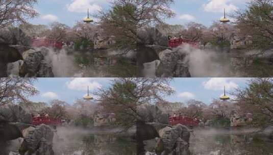 武汉春天东湖樱花园五重塔赏樱的人群高清在线视频素材下载