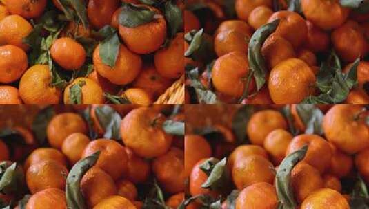 超市货柜里的水果沃柑橘子高清在线视频素材下载