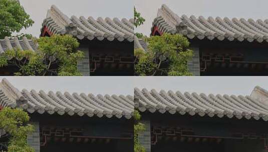 中式建筑屋檐绿植园林古风意境高清在线视频素材下载
