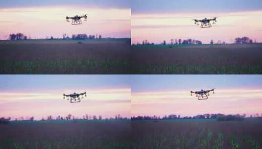 日落农业无人机高清在线视频素材下载