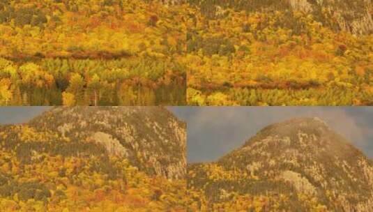 秋天的山中景色高清在线视频素材下载