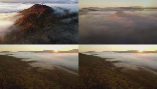 秋季森林云海日出云雾森林雾气弥漫高清在线视频素材下载