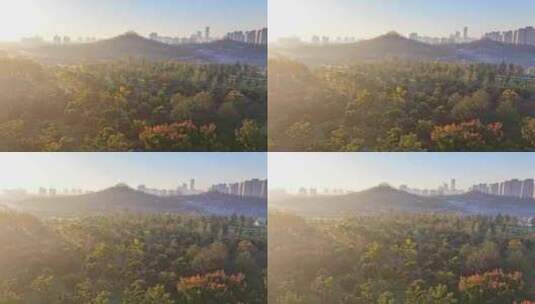 世博文化公园上海双子山世博前滩七孔桥高清在线视频素材下载