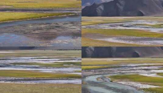 航拍西藏阿里班公湖绿草如茵高清在线视频素材下载