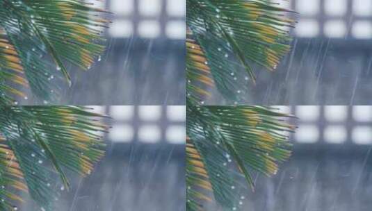 雨天7雨滴打落在芭蕉树上模糊空镜带音效高清在线视频素材下载