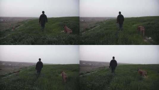男人和狗狗走在户外的草地上高清在线视频素材下载