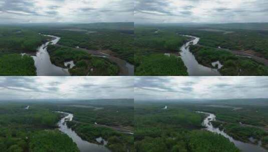 根河湿地自然风景小满时节高清在线视频素材下载