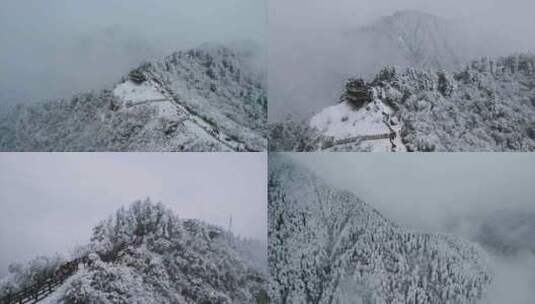 西岭雪山唯美冬日雪景4K高清在线视频素材下载