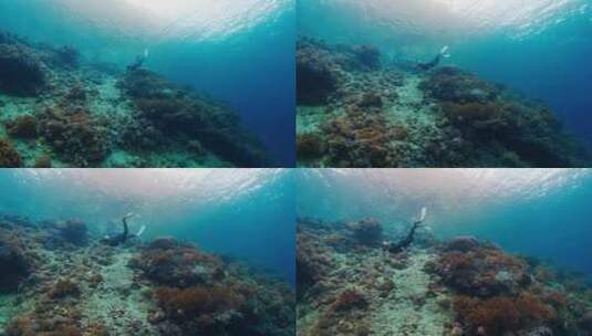 身穿黑色潜水衣的女子屏住呼吸潜水，探索印高清在线视频素材下载