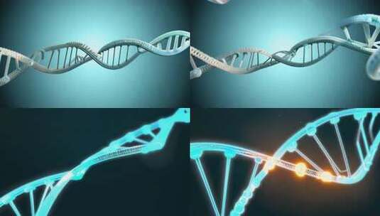 DNA分子核酸RNA序列高清在线视频素材下载