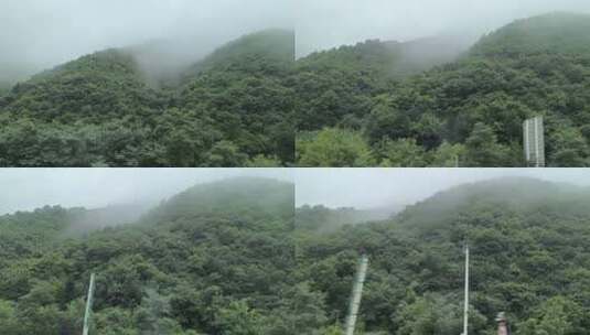 雾气笼罩的茂密山林风景高清在线视频素材下载