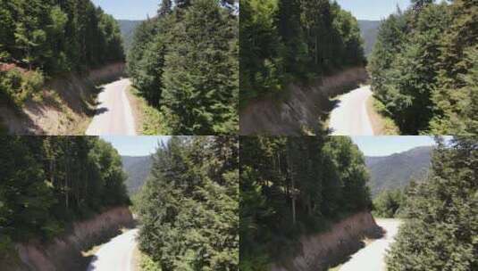 森林道路上停放的汽车高清在线视频素材下载