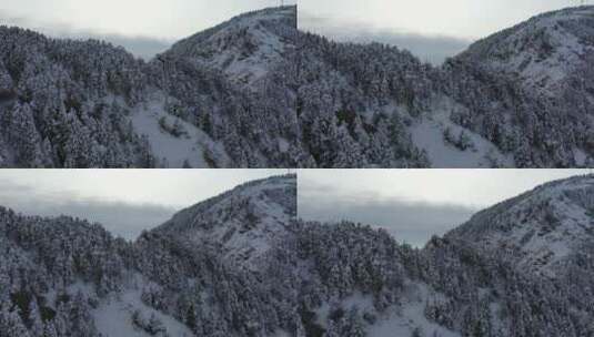 航拍湖北神农架风景区冬季雪山冰雪风光雪景高清在线视频素材下载