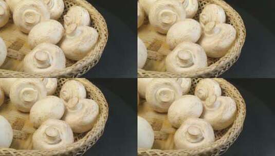 白蘑菇口菇高清在线视频素材下载