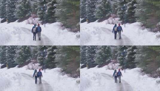 走在加拿大一条积雪的小路上高清在线视频素材下载