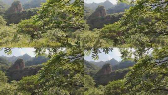 登山爱好者原图视频，绿色的大山环绕高清在线视频素材下载