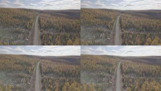 俄罗斯西伯利亚森林平原公路高清在线视频素材下载