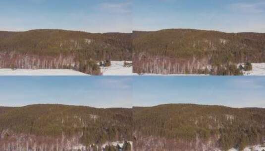航拍冬季的森林高清在线视频素材下载