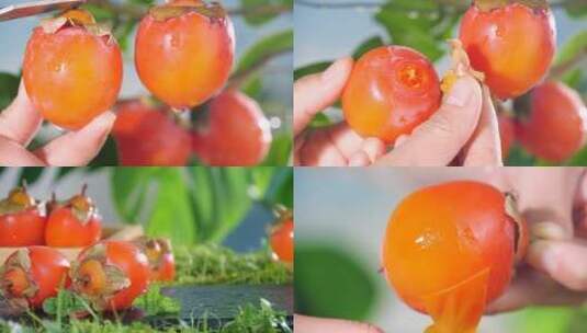 火晶柿子高清在线视频素材下载