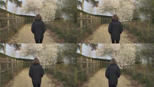 女孩在樱花园里散步高清在线视频素材下载
