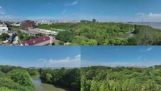 上海吴淞炮台湾国家湿地公园航拍高清在线视频素材下载