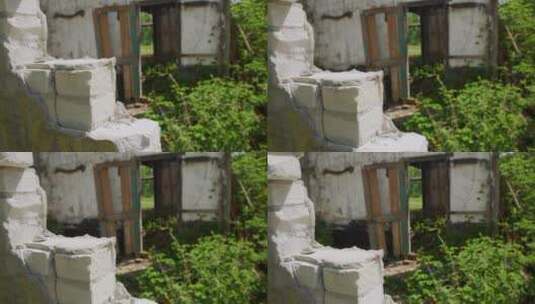 墙壁破损的废弃旧房子高清在线视频素材下载