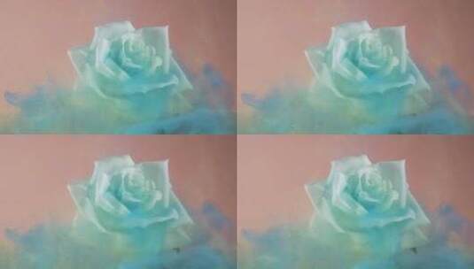 白玫瑰上的蓝色烟雾高清在线视频素材下载