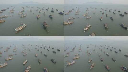 原创 山东威海渔船舰队出海航拍风景高清在线视频素材下载