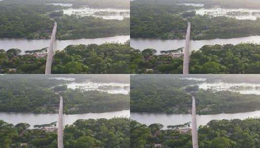 热带河流的大桥高清在线视频素材下载