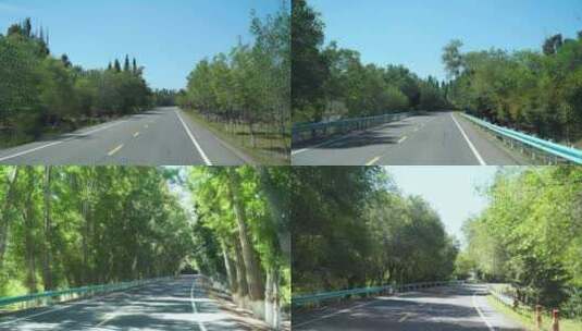 森林开车第一视角树林山路行驶公路远途风景高清在线视频素材下载